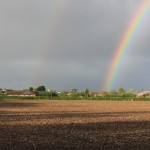 Rainbow over the village